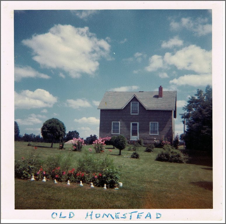 Old Toeppner Homestead.jpg