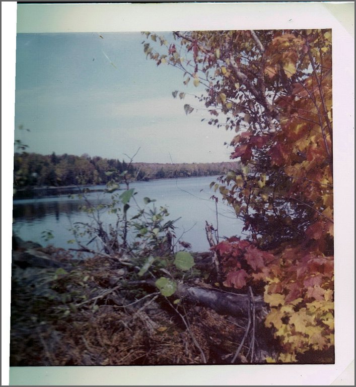 Wolfe Lake.jpg