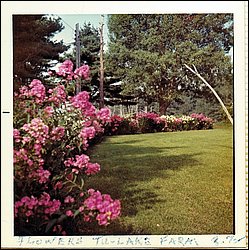 1972-08 Flowers Tu-Lake Farm.jpg