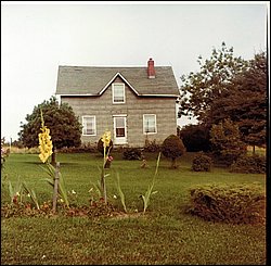 Toeppner Homestead.jpg