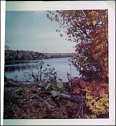 Wolfe Lake.jpg