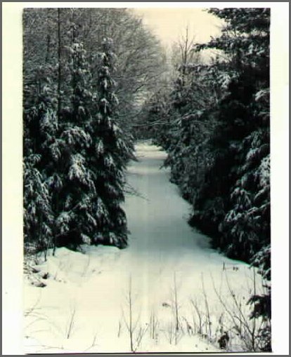 Niceroad.jpg