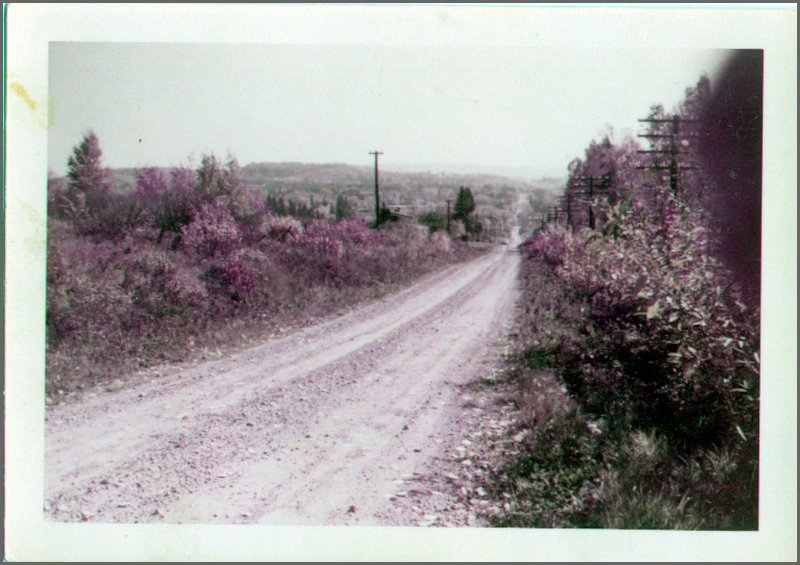 Powassan 1954.jpg