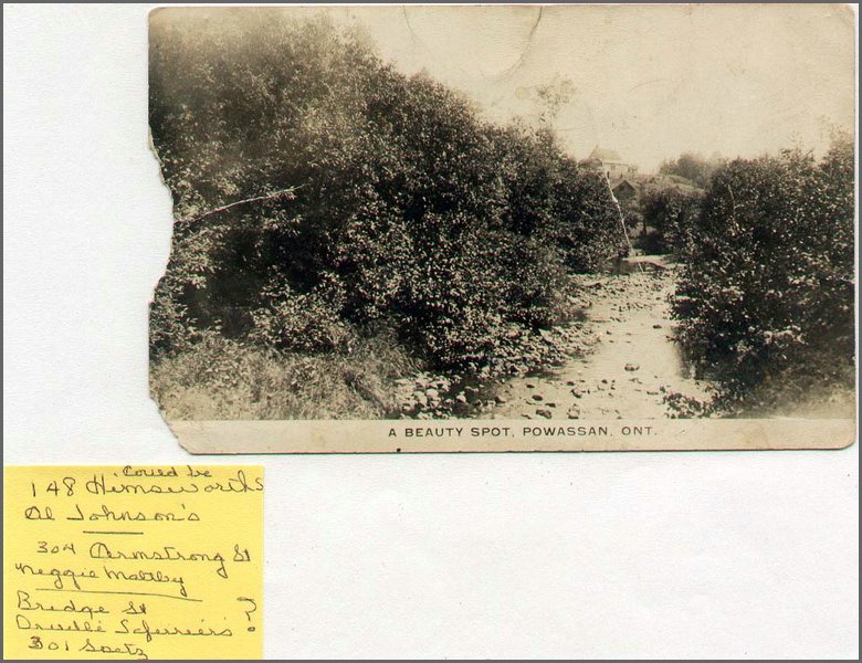 Powassan-15.jpg