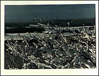 Mountain.jpg