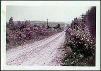 Powassan 1954.jpg