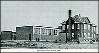 Powassan Junior.jpg