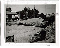 Powassan-13.jpg