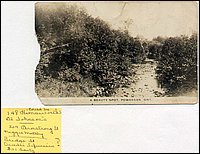 Powassan-15.jpg