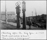 Powassan-2.jpg
