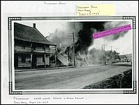 Powassan-3.jpg