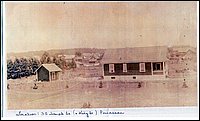 Powassan-6.jpg