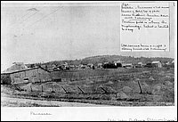 Powassan-7.jpg