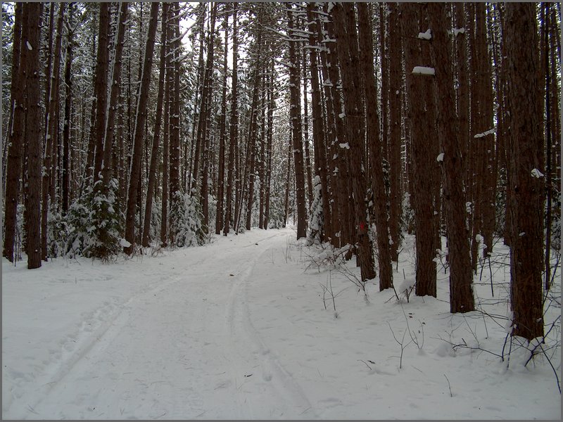 Feb 2006 - Powassan 06.JPG