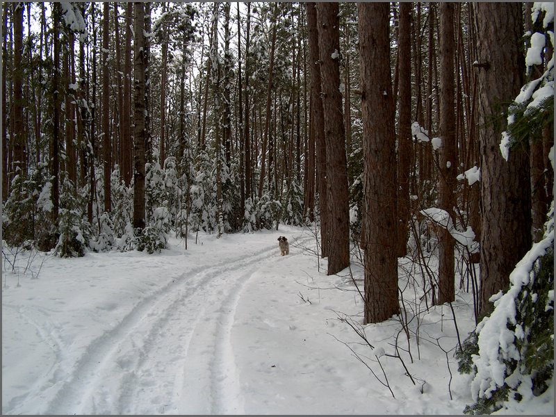 Feb 2006 - Powassan 08.JPG