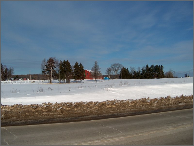 Feb 2006 - Powassan 22.JPG