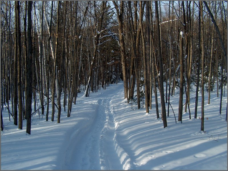 Feb 2006 - Powassan 50.JPG