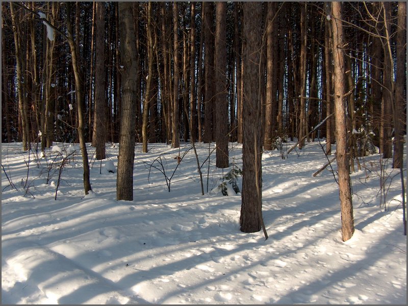 Feb 2006 - Powassan 52.JPG