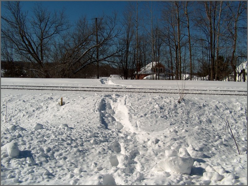 Feb 2006 - Powassan 69.JPG