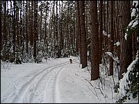 Feb 2006 - Powassan 08.JPG