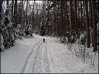 Feb 2006 - Powassan 09.JPG