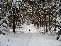 Feb 2006 - Powassan 10.JPG