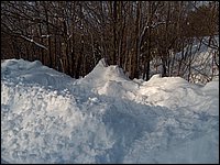 Feb 2006 - Powassan 48.JPG