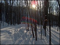 Feb 2006 - Powassan 49.JPG