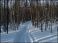 Feb 2006 - Powassan 50.JPG