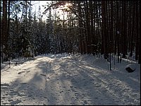 Feb 2006 - Powassan 53.JPG