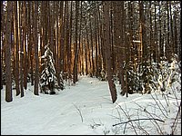 Feb 2006 - Powassan 54.JPG