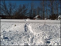 Feb 2006 - Powassan 69.JPG