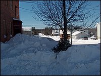 Feb 2006 - Powassan 83.JPG