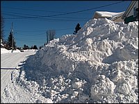 Feb 2006 - Powassan 85.JPG