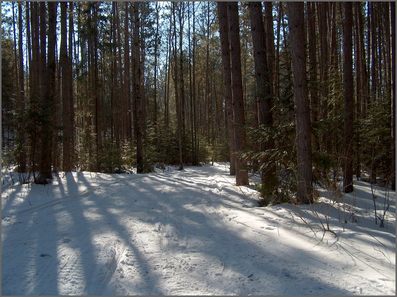 Feb 5 2005 f.jpg
