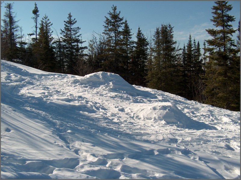 Feb 5 2005 l.jpg