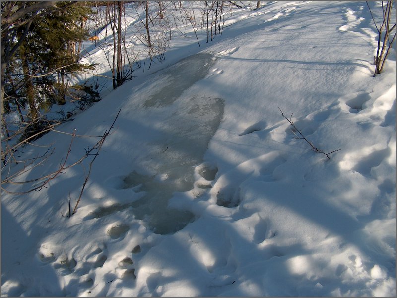 Feb 5 2005 p.jpg