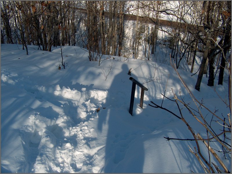 Feb 5 2005 y.jpg