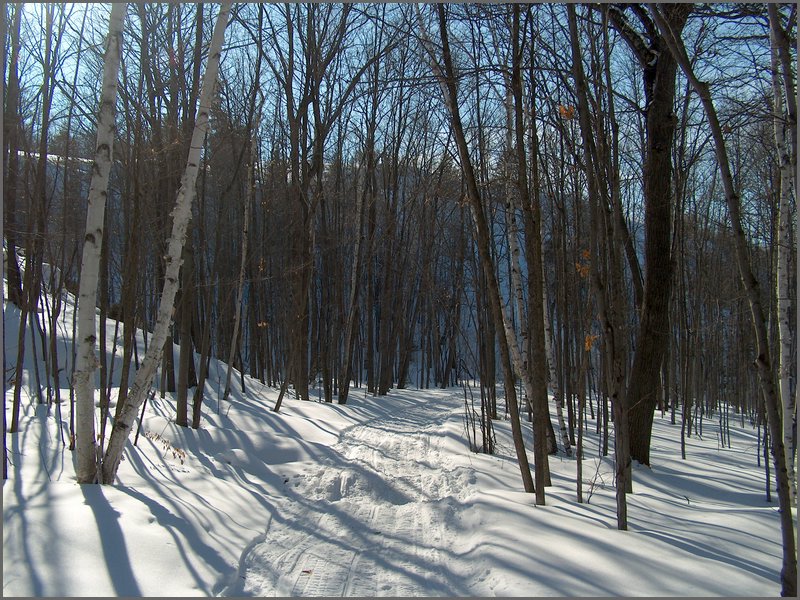 Feb 5 2005b.jpg