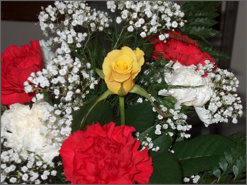 Feb 5 2005b_2.jpg