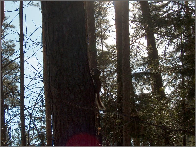 Feb 5 2005j.jpg