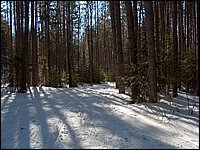 Feb 5 2005 f.jpg