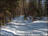Feb 5 2005 g.jpg