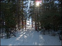 Feb 5 2005 h.jpg