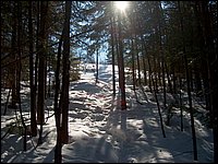 Feb 5 2005 i.jpg