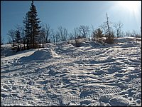 Feb 5 2005 j.jpg