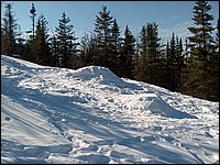 Feb 5 2005 l.jpg