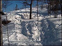 Feb 5 2005 m.jpg