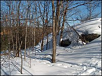 Feb 5 2005 n.jpg