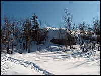 Feb 5 2005 o.jpg